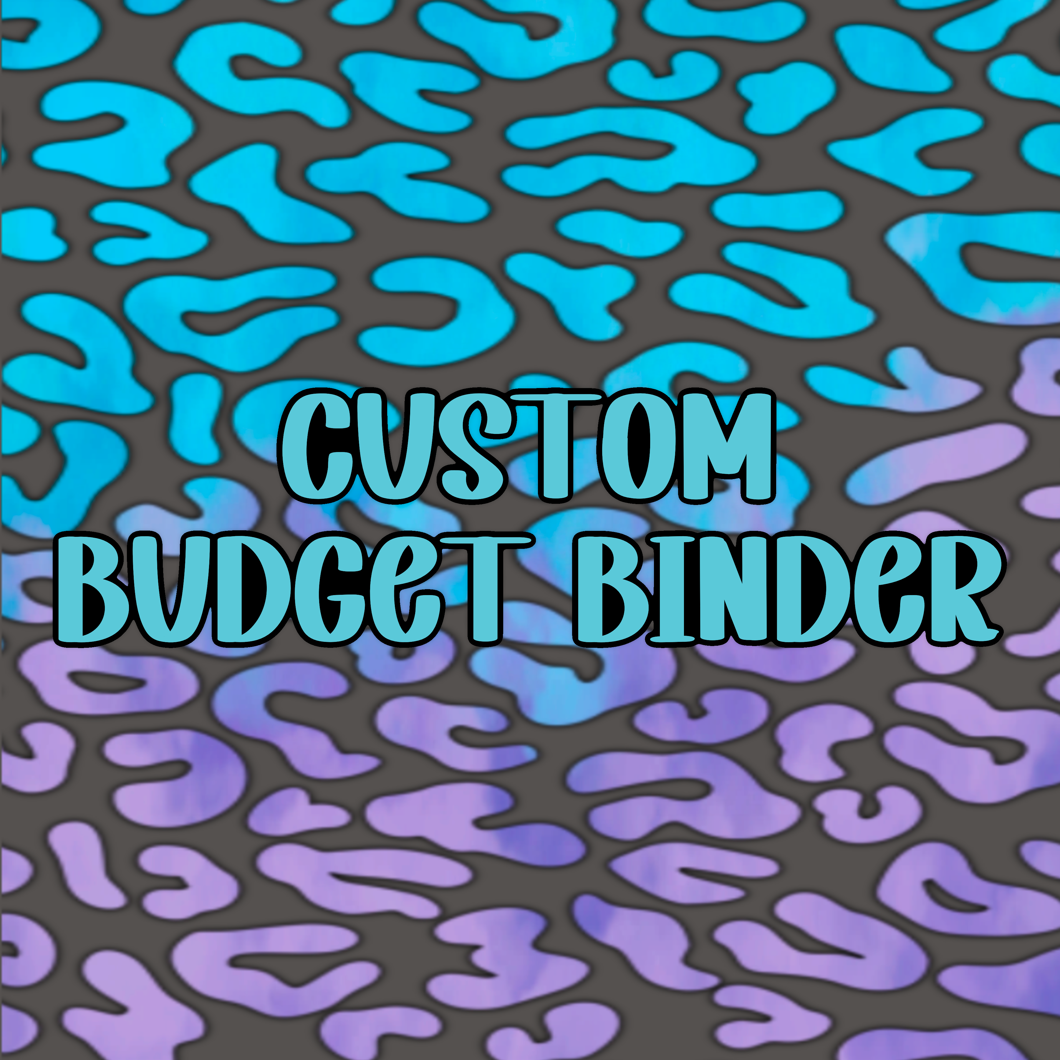 Custom Budget Binder